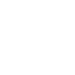 White Dream logo White